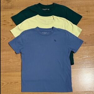Abercrombie Kids Essential Icon Tee Lot